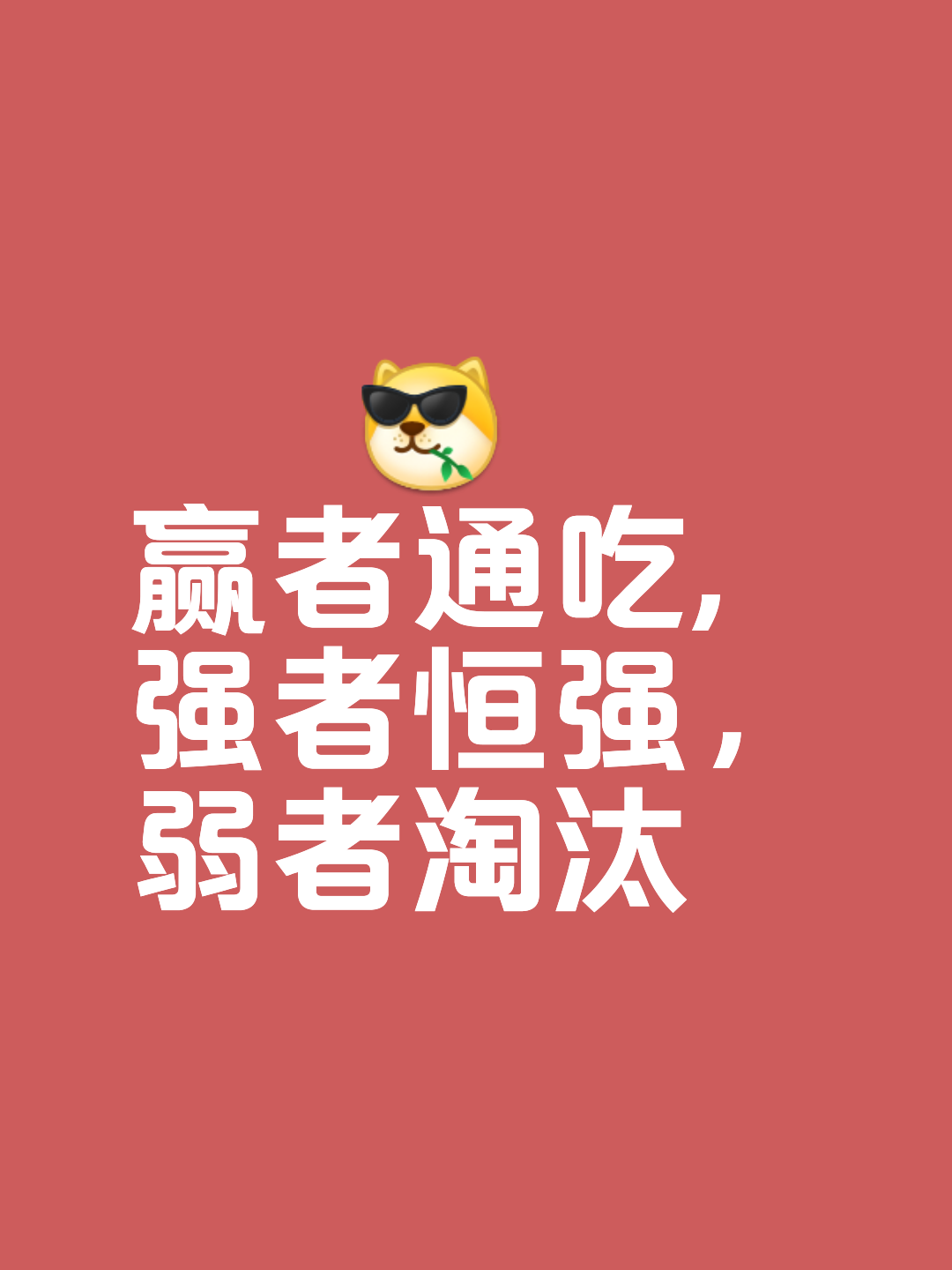 FB体育-双方角逐胜负已定，局势扭转无望